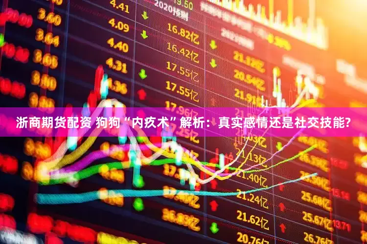 浙商期货配资 狗狗“内疚术”解析：真实感情还是社交技能?