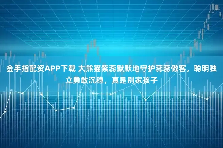 金手指配资APP下载 大熊猫紫蕊默默地守护蕊蕊傲客，聪明独立勇敢沉稳，真是别家孩子