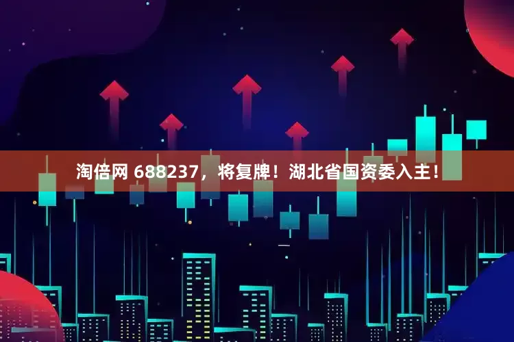淘倍网 688237，将复牌！湖北省国资委入主！